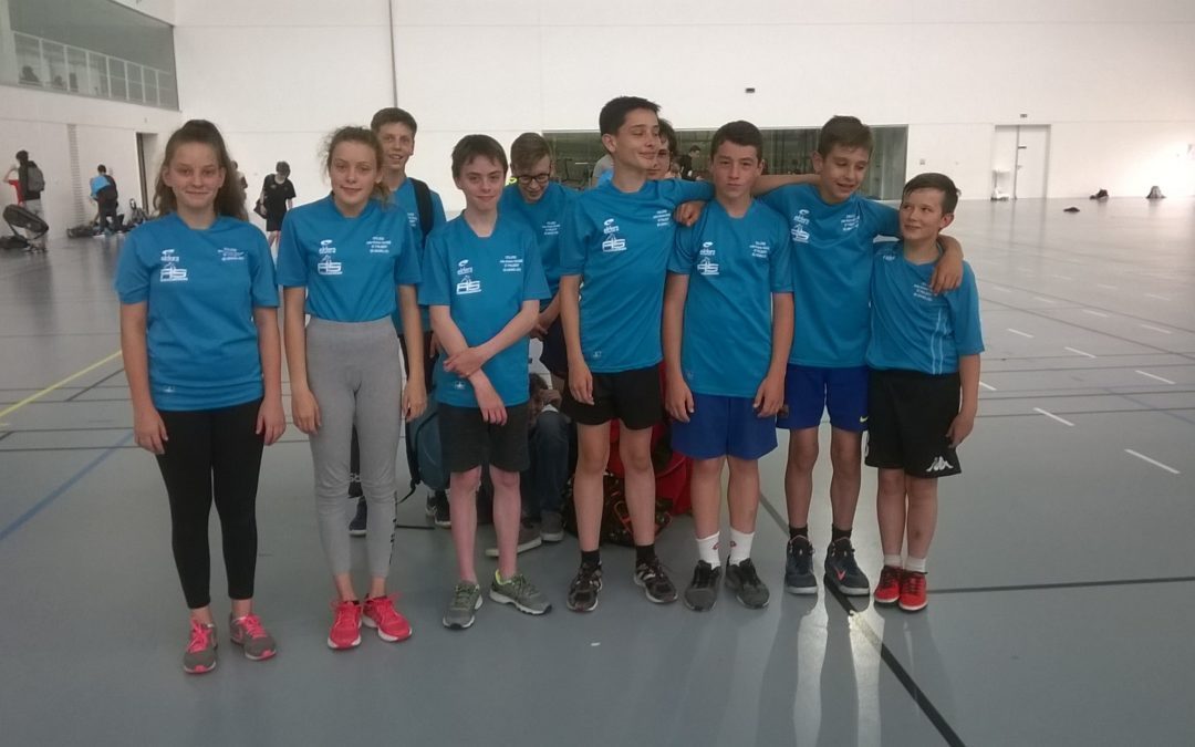 Championnats départementaux de badminton individuels