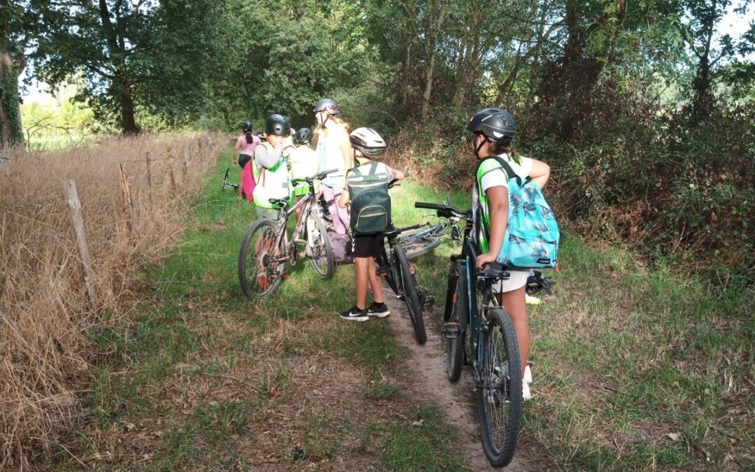 Les 6ème à la découverte du Lac de GrandLieu