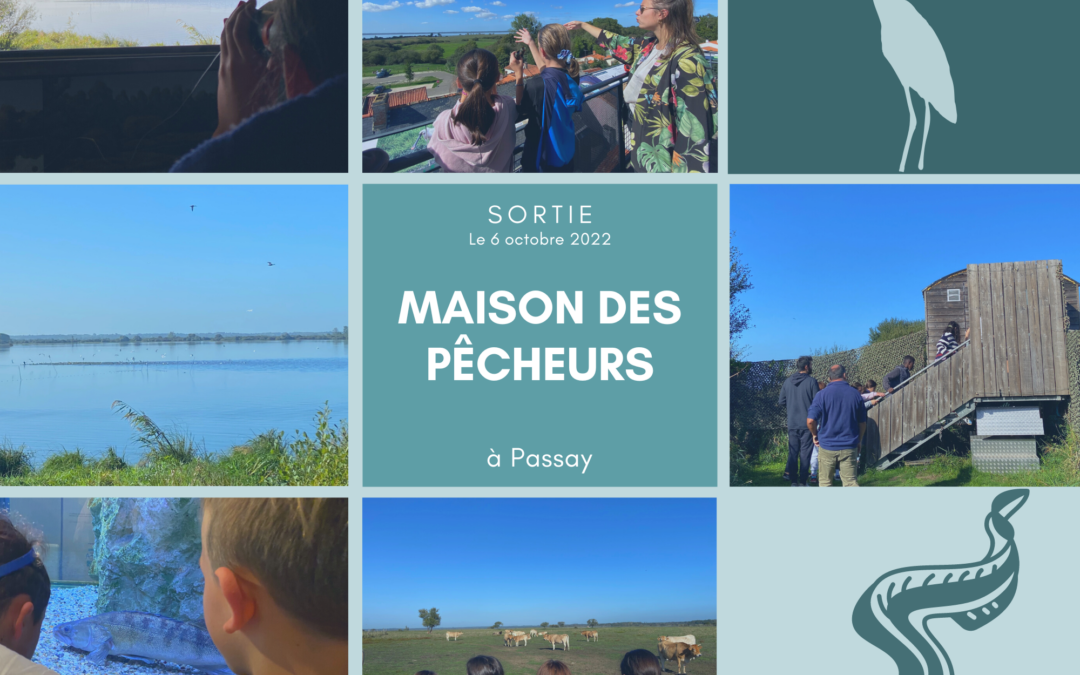 Les 6è5 à la maison des pêcheurs