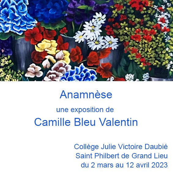 Une exposition de Camille Bleu Valentin du 2 mars au 12 avril 2023